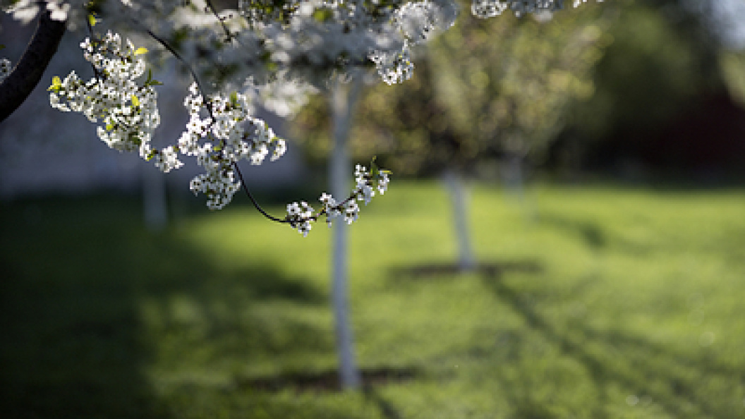    Nikolay Gyngazov/Globallookpress