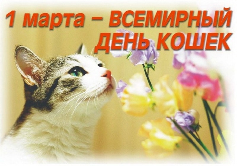 Фото: bestkartinki.ru