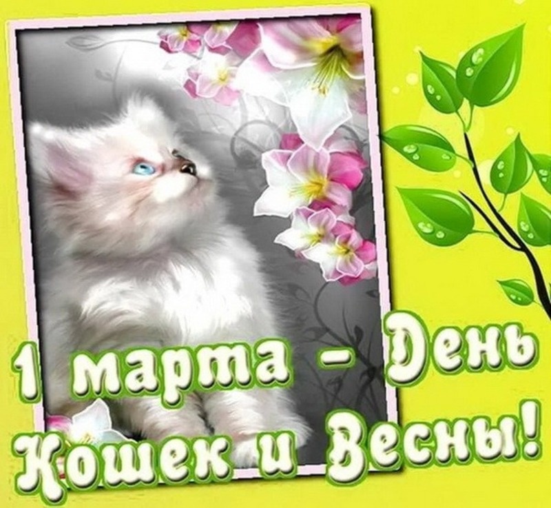 Фото: bestkartinki.ru