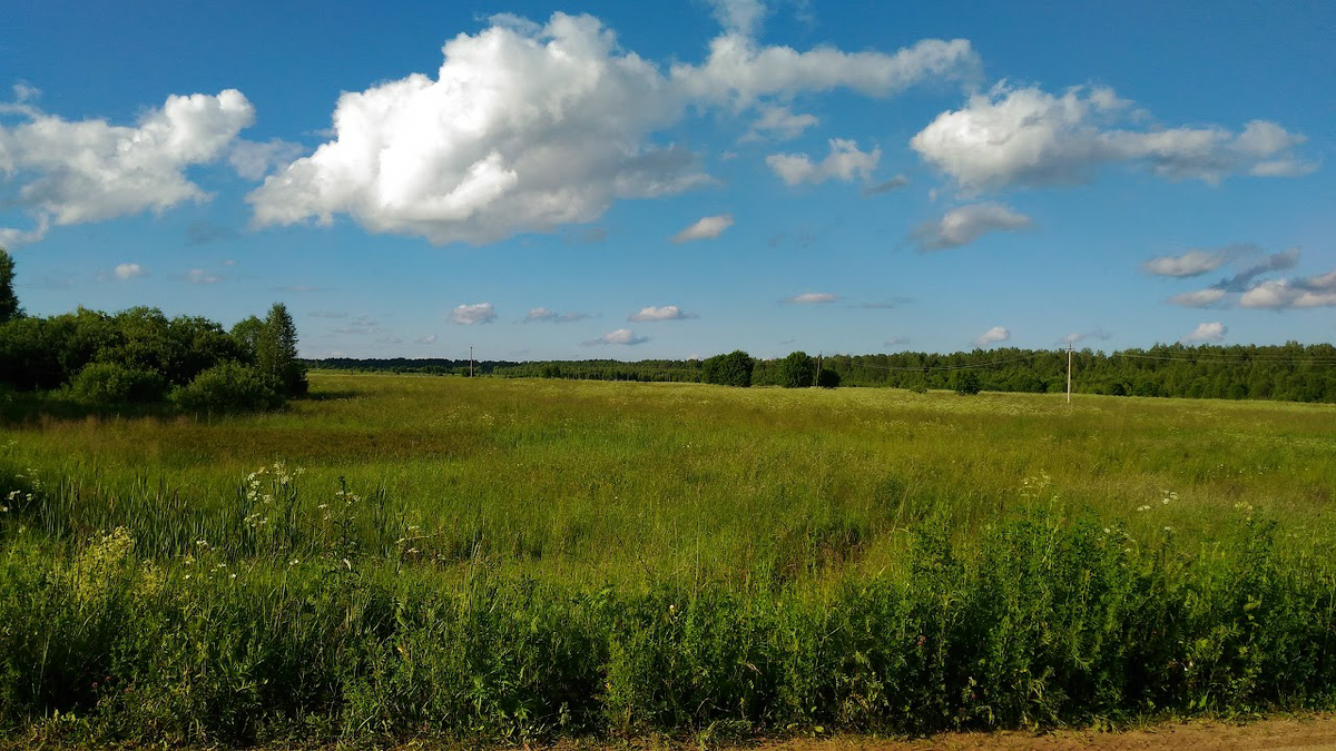 В районе Дашковки. Фото Google.Earth