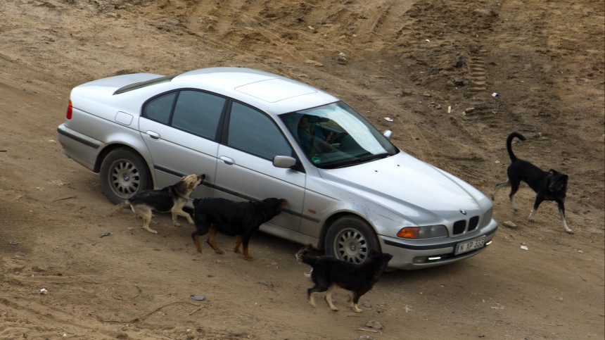    Фото: © РИА Новости/Денис Гришкин; 5-tv.ru