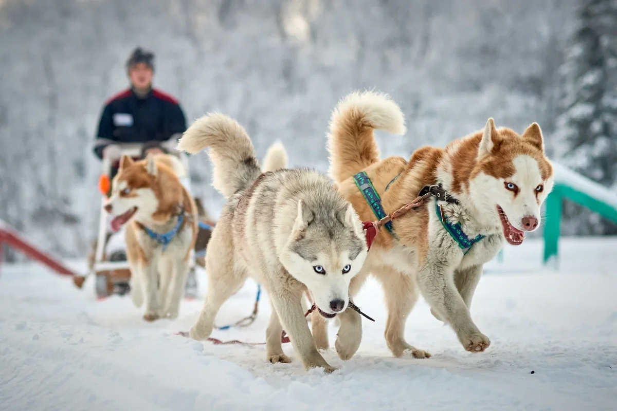 Источник: Туристический Фотобанк Russia.travel