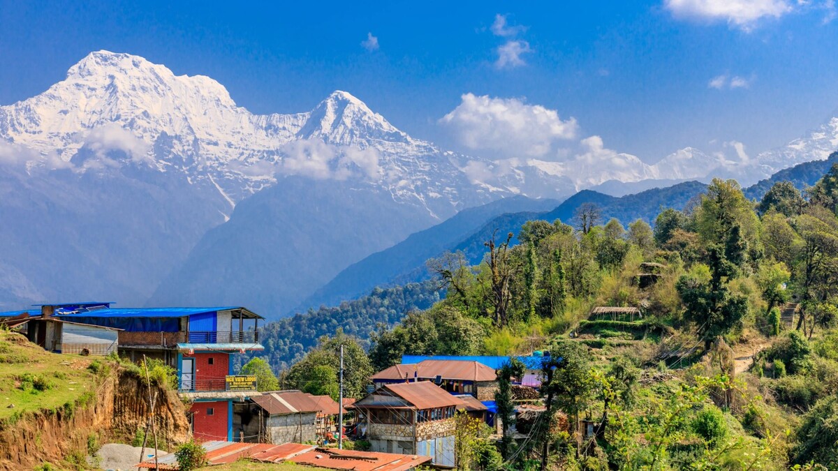    Фото: Julia Mountain Photo/Shutterstock/Fotodom