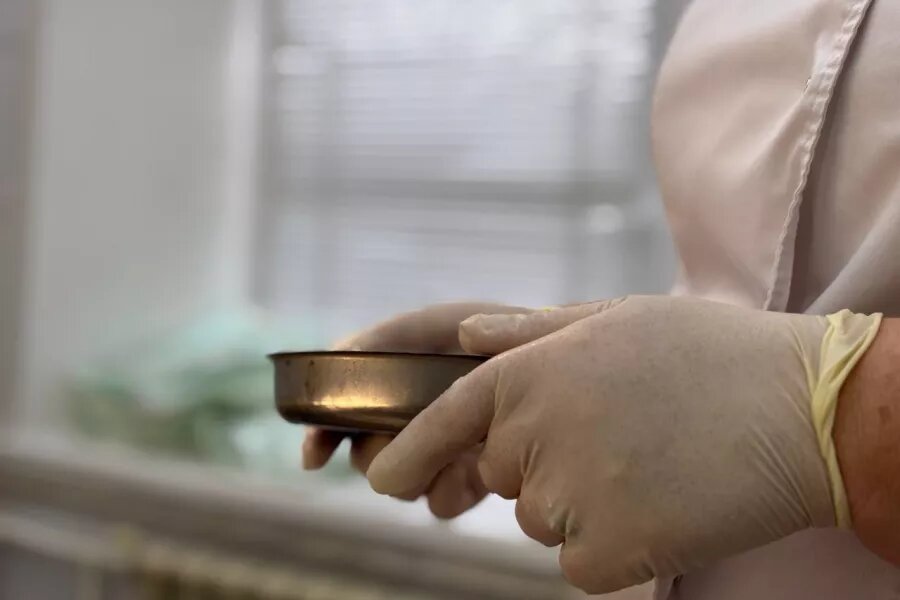 Здравоохранение. Врач. предоставлено городской больницей №2   📷