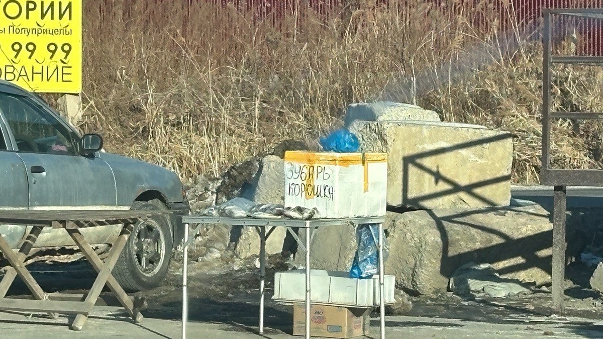     Источник: vostokmedia.com