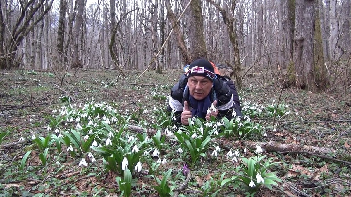 Поснежники. Разные они очень..