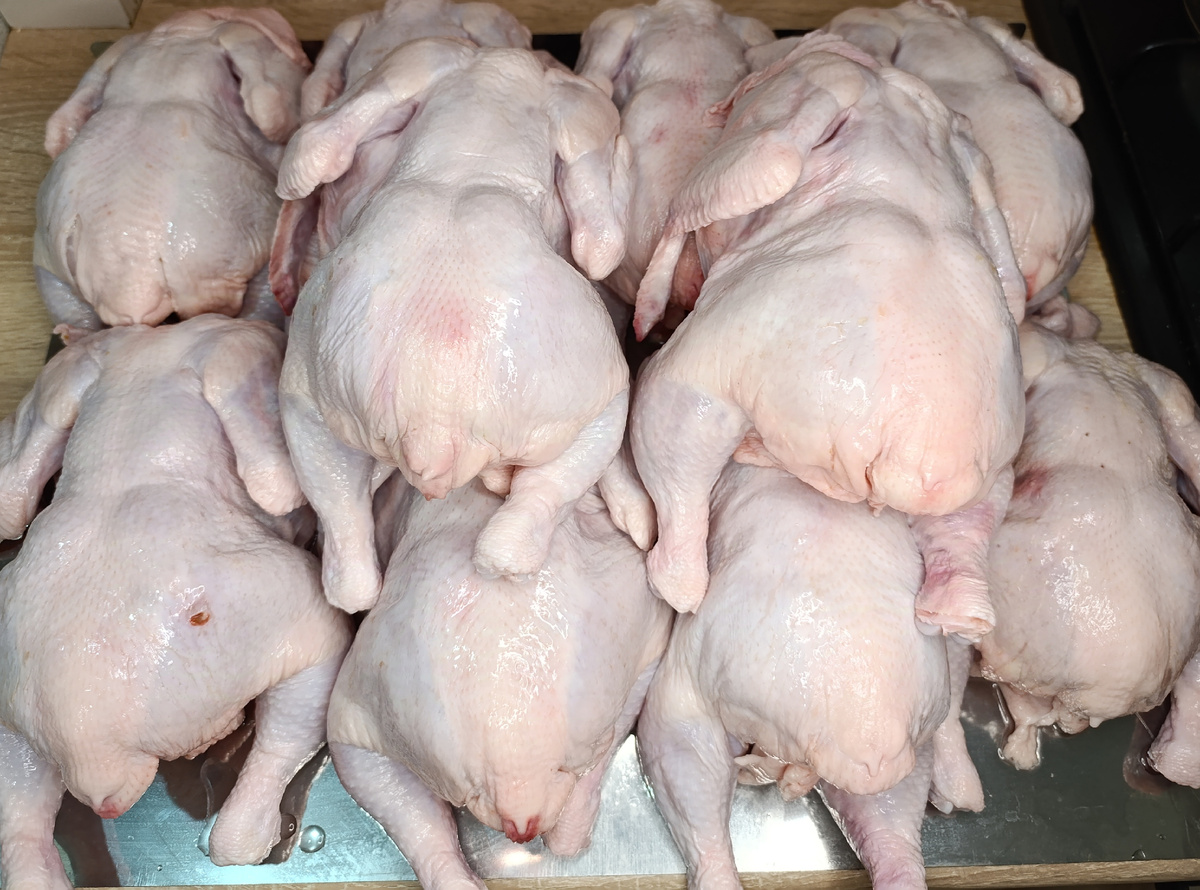 Фото Уралочка 