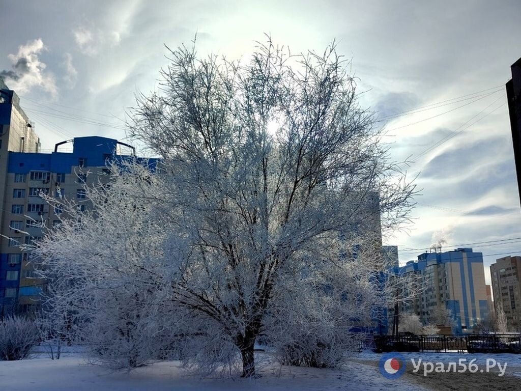    На выходных в Оренбургской области потеплеет с -23 до -2°С и без особых осадков