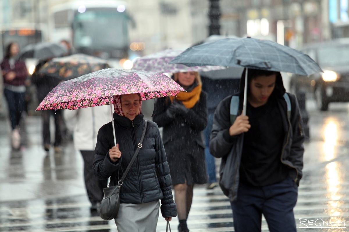    Горожане под зонтами / Источник: Дарья Драй © ИА REGNUM