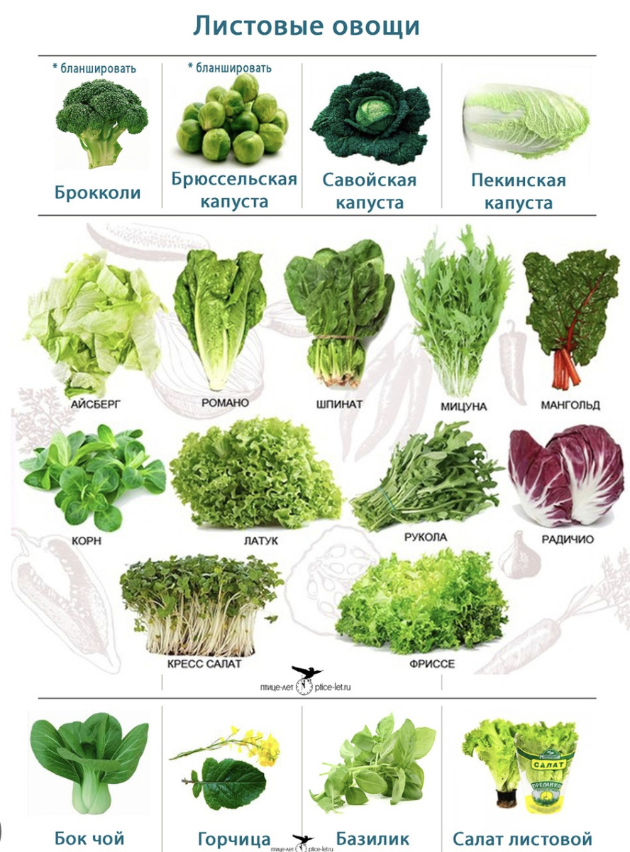 Добавлять к каждому приёму!