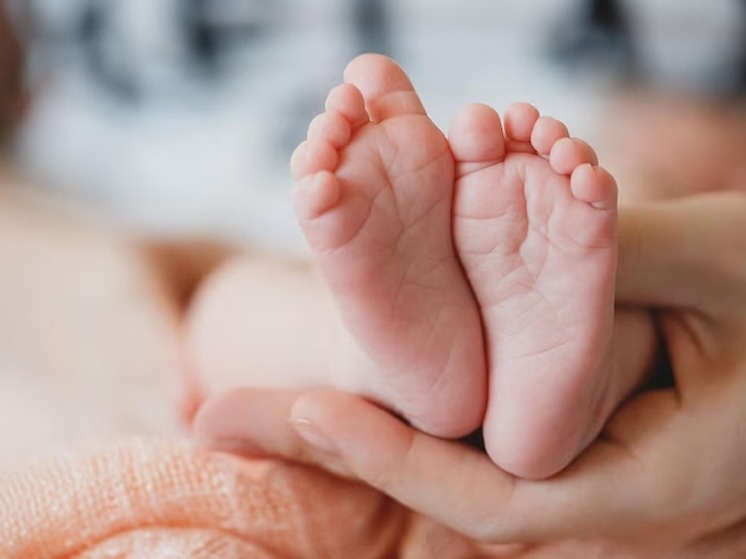    ФОТО: FREEPIK.COM Алина Лакшина