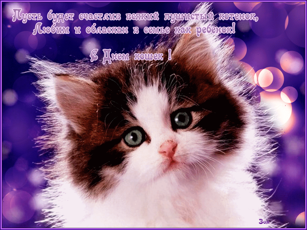 Открытки и гифки с сайтов: kartinki-life.ru, ru.pinterest.com и Шедеврум