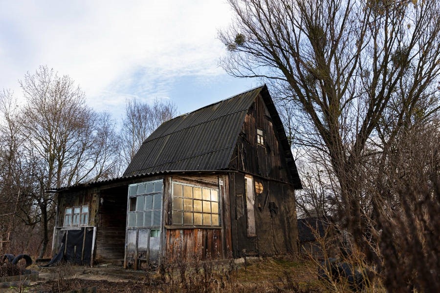 Источник: ru.freepik.com