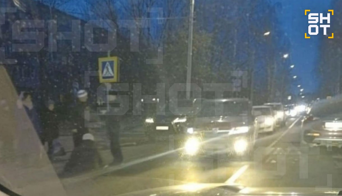 фото: скриншот SHOT