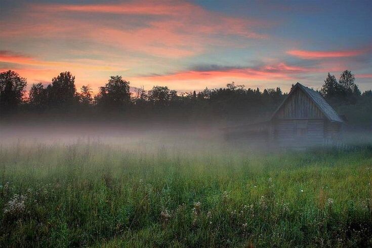 Яндекс.Картинки