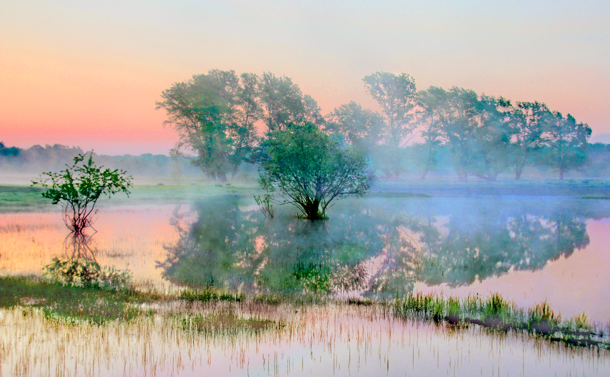 Фотография, стихотворение Василия Глуцкого