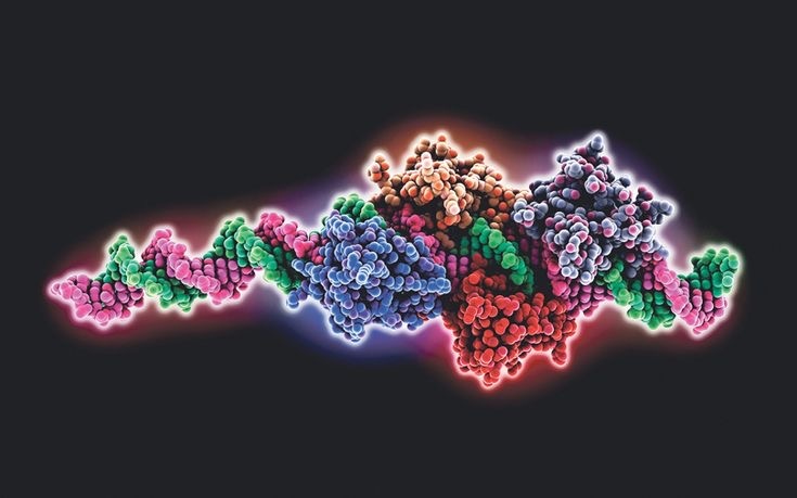 Белковая структура интерферона