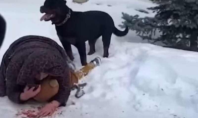 Фото: "Полезный Новосибирск" \ ВКонтакте