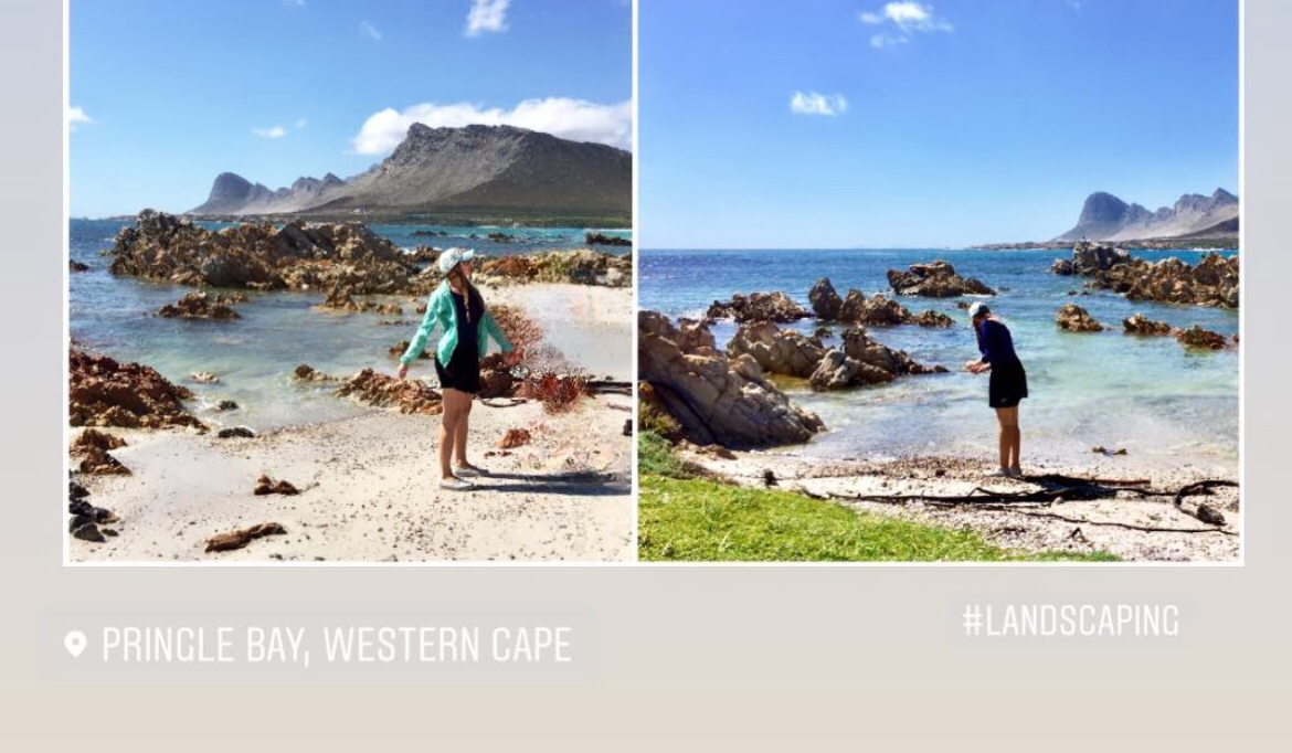 Путешествие по Южной Африке