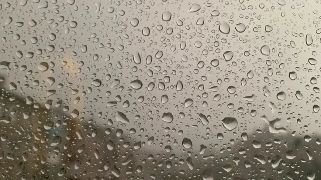    Фото: Царьград.