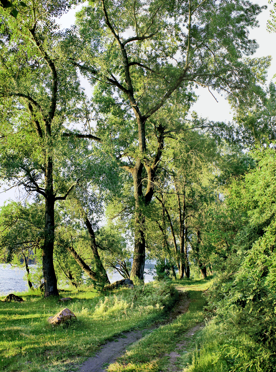 Фотография, стихотворение Василия Глуцкого