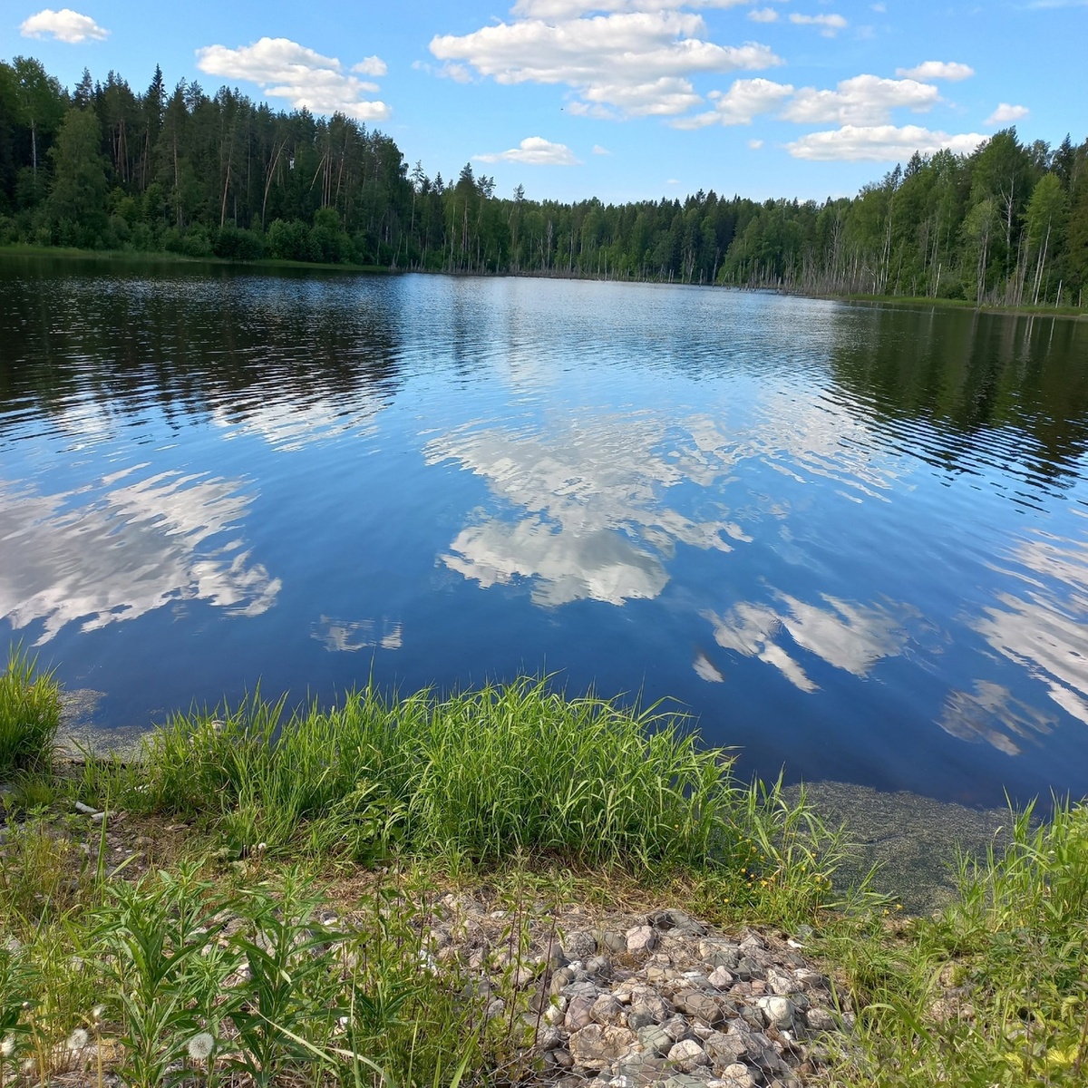 автор фото Наталья Шешко
