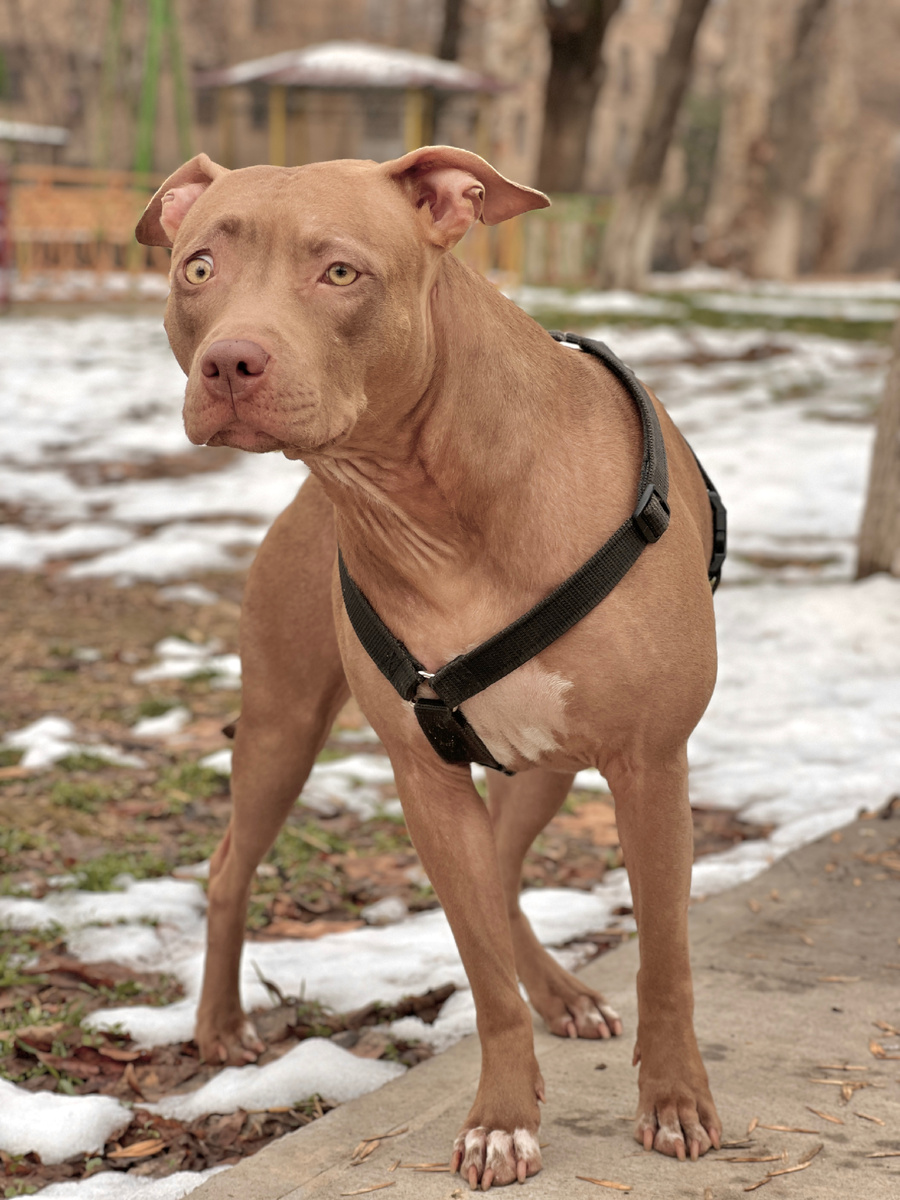 С добрым Ташкентским утром🤗