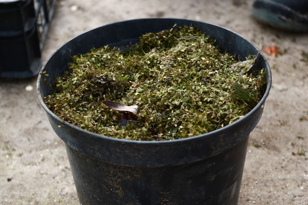 Фото: Елена Виговская/МТРК "Мир"