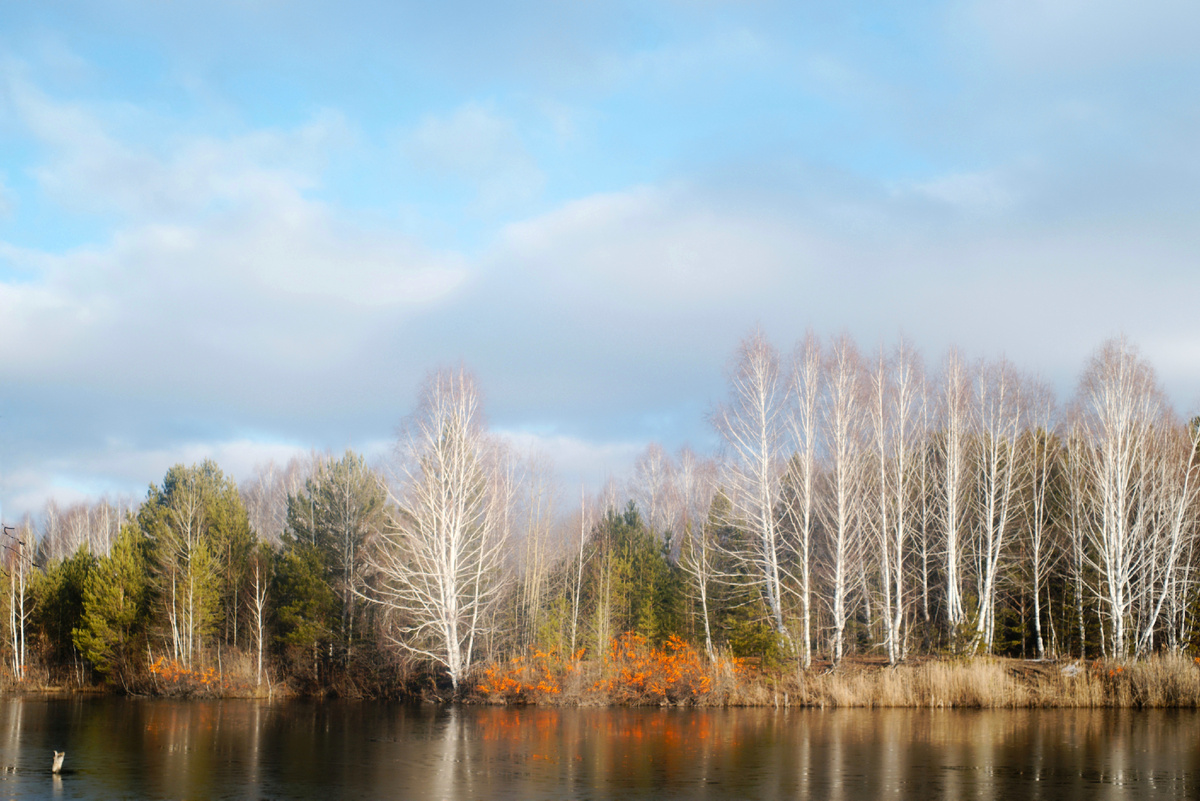 Осенние зарисовки.