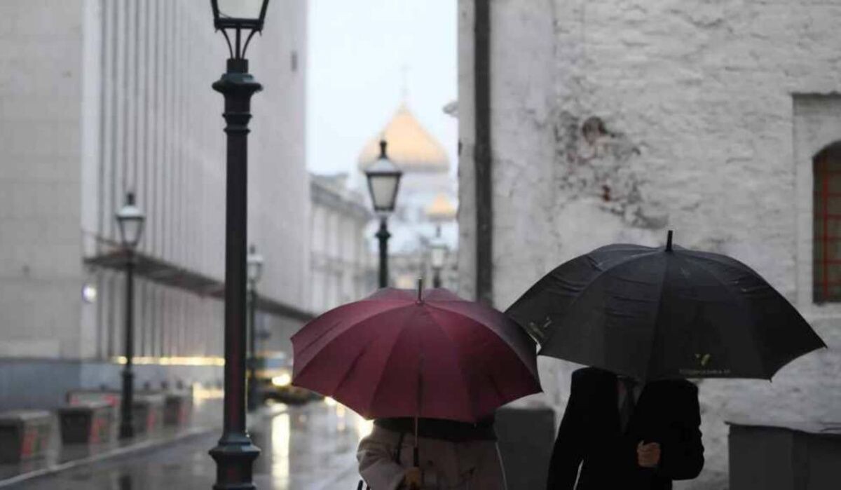     Люди под зонтами. Источник: ria.ru Автор фото: Максим Блинов