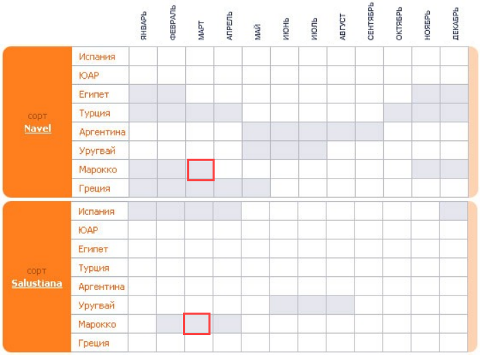 Сезон апельсинов в странах-производителях