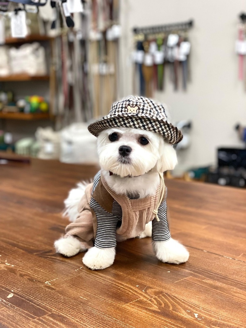 Наш красавец-выпускник