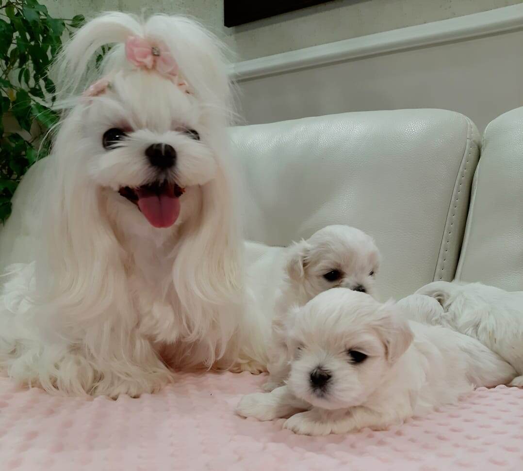 Наши малыши 