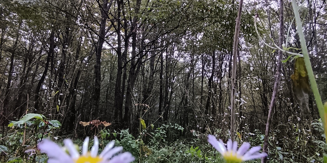 Куда поехать весной: предгорные станицы Краснодарского края, тихий отдых вдали от цивилизации