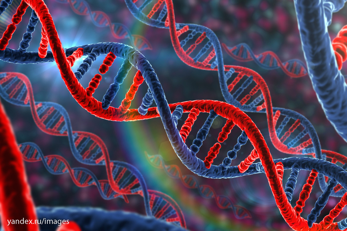    Древняя ДНК раскрывает тайны народов Сахары