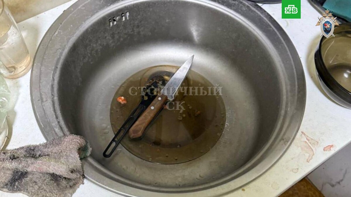    Фото: skmoscowgsu / t.me