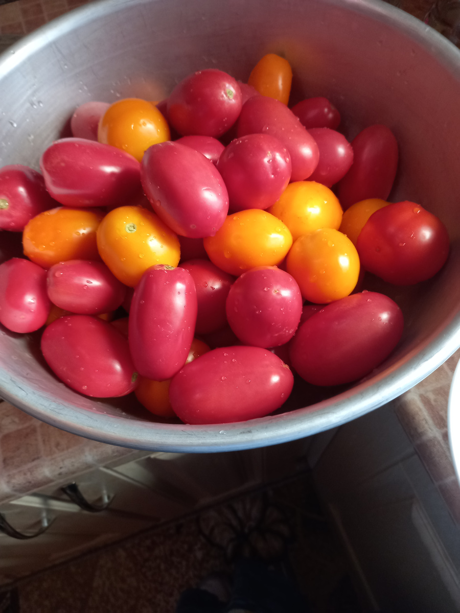 Для засолки - Щедрая Сливка Тарасенко