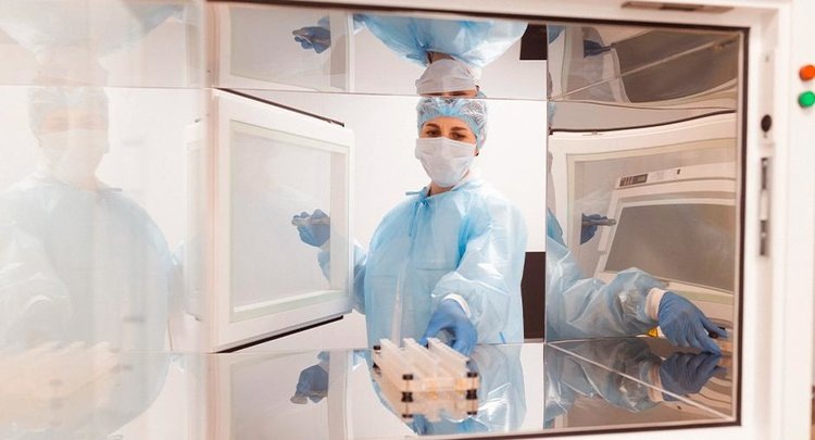    Эффективность вакцинации свиней в Ростовской области проанализировали специалисты