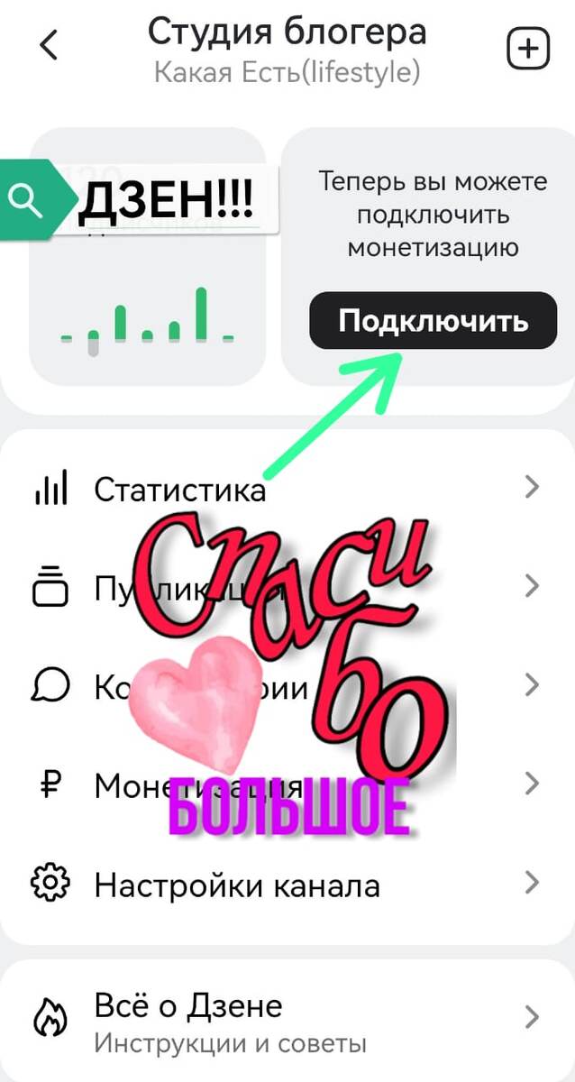 Фото из личного кабинета моего канала на  Дзен 