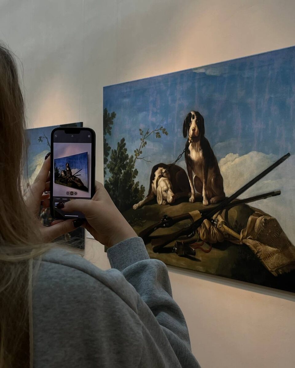 "Собаки и охотничье снаряжение"