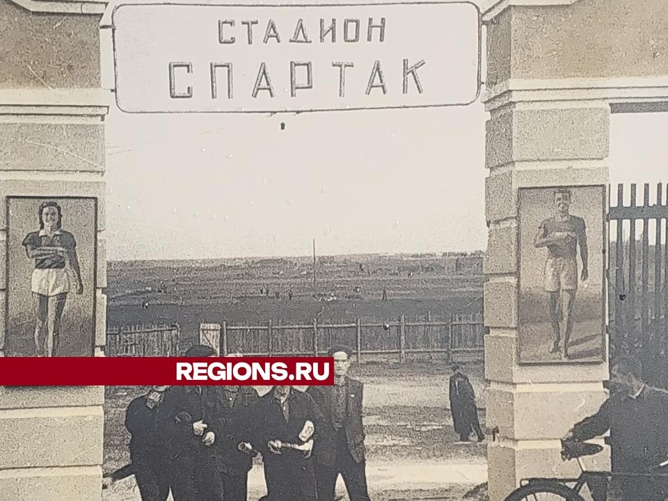     Фото: Хавива Фонина