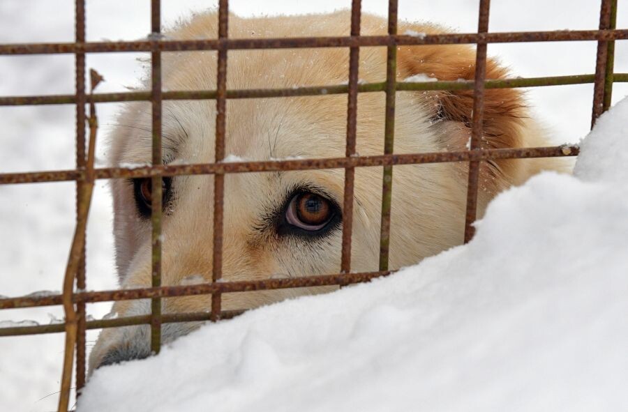     / Источник: ©РИА Новости/Александр Гальперин