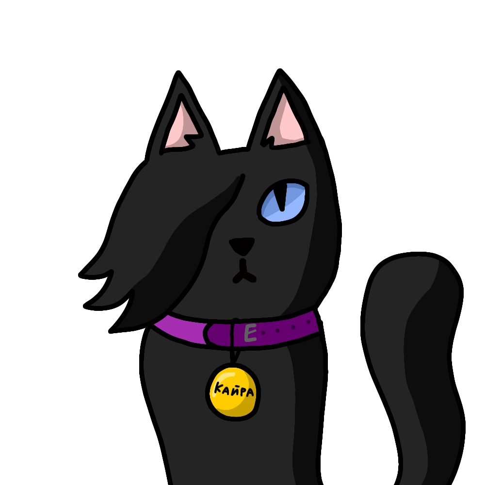 Кайра. Арт автора