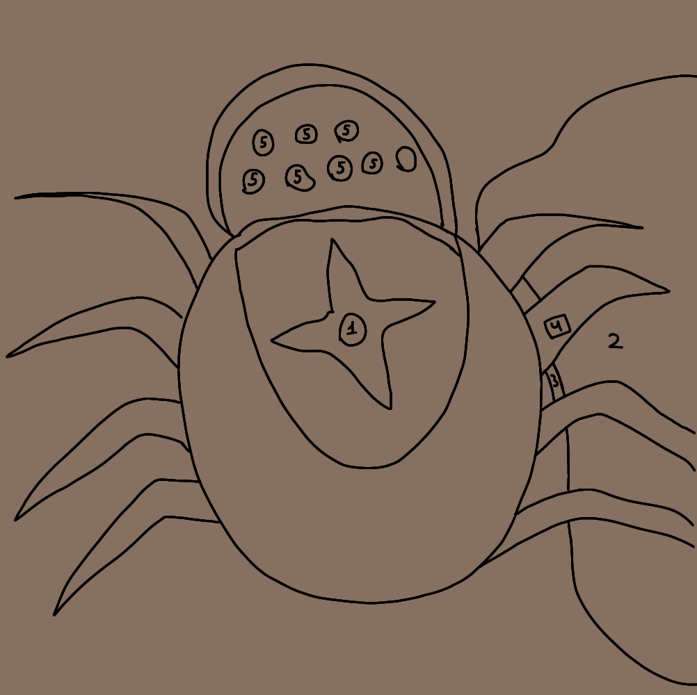 Крестовы горы сверху. 1 - вершина, 2 - море, 3 - мостик, 4 - хижина Венды, 5 - крестовы озёра (одно забыла отметить). Арт автора