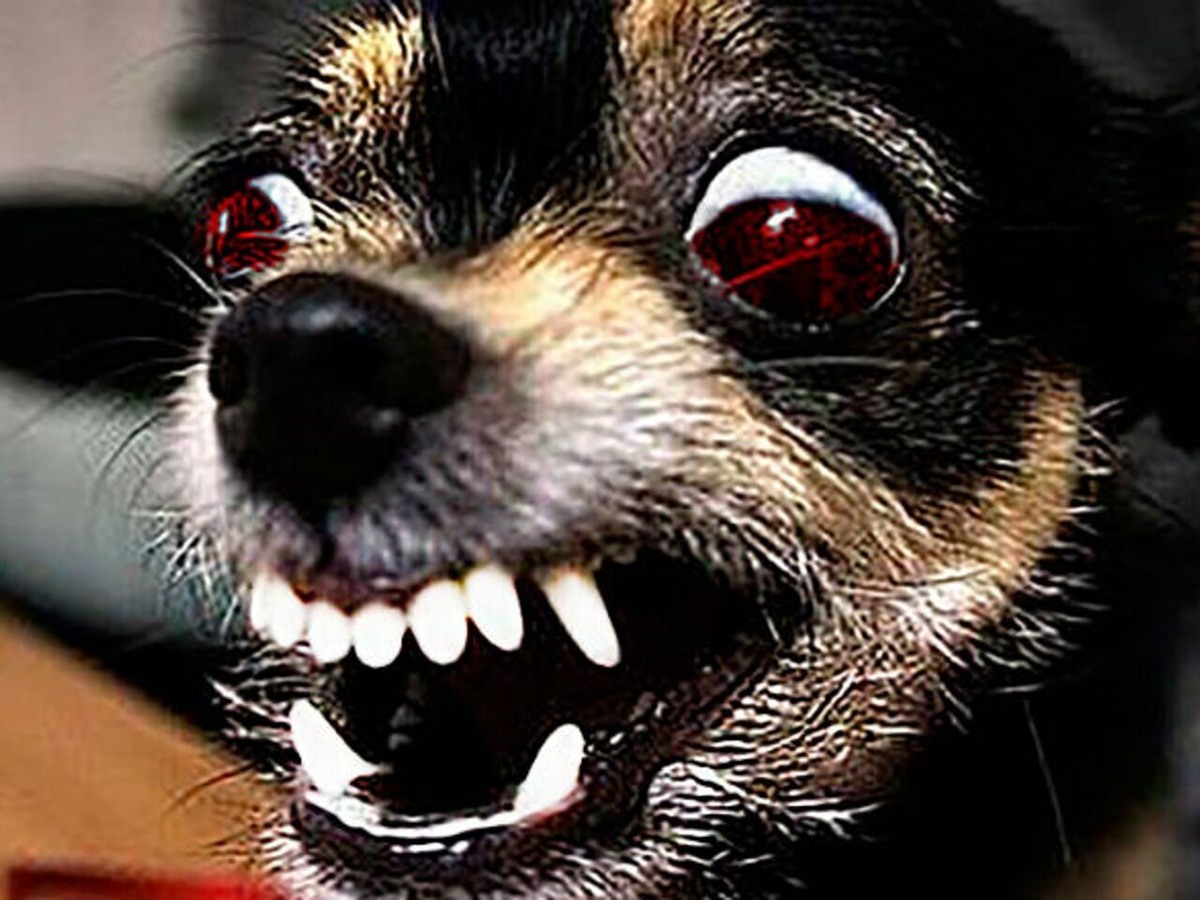 фото взято с просторов интернета