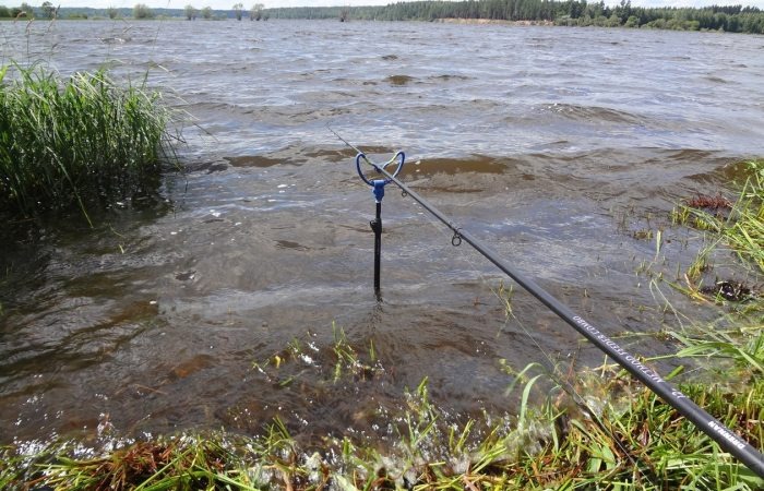 Роль погодных условий в успешной рыбалке