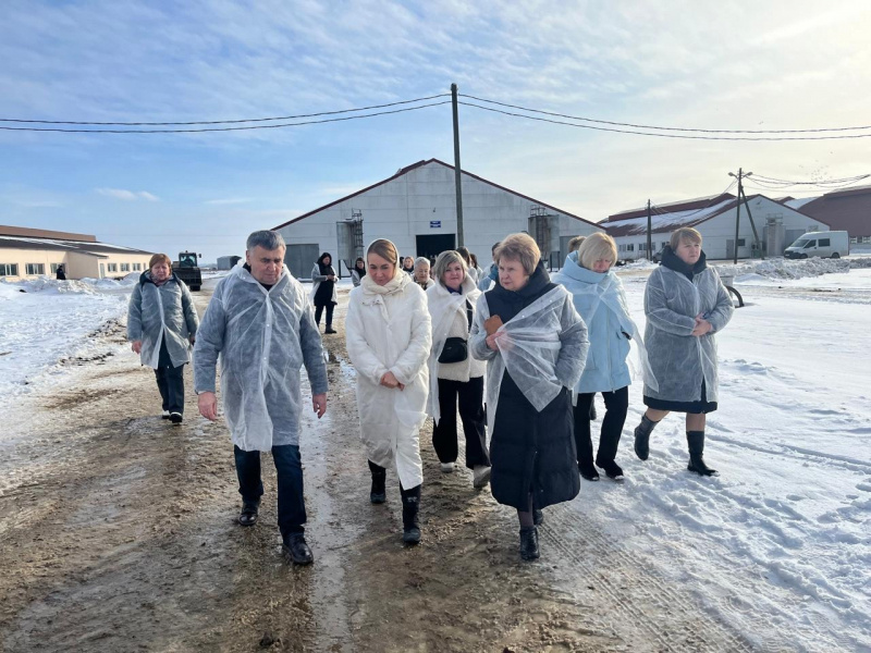    Депутат Госдумы Валентина Пивненко рассказала про увлекательный поход в коровник в КарелииВалентина Пивненко / ВК