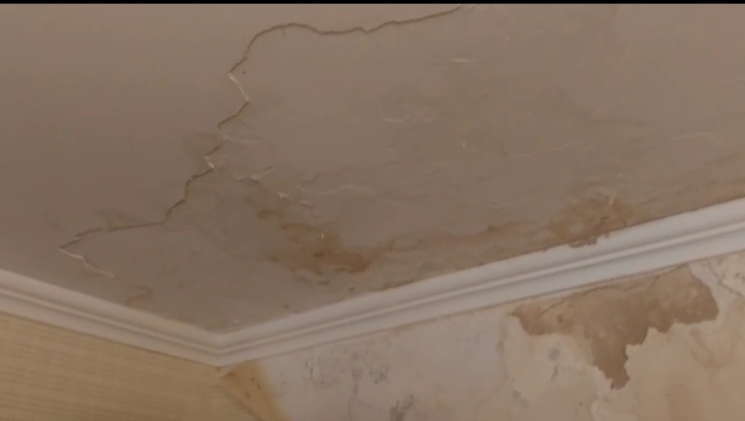 Скрин из видео автора