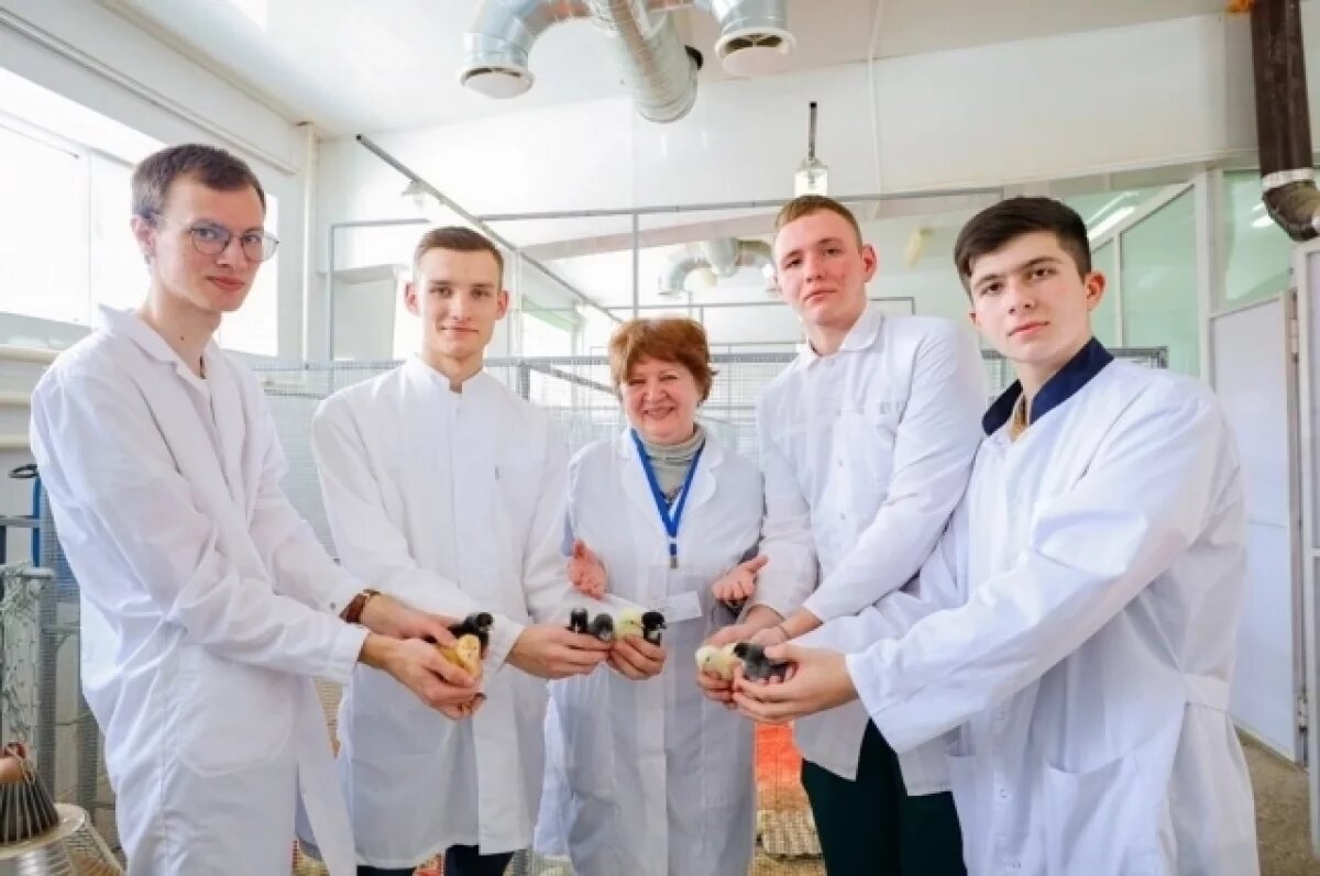    Учёные ставропольского вуза выяснили, как улучшить рост гибридных птенцов