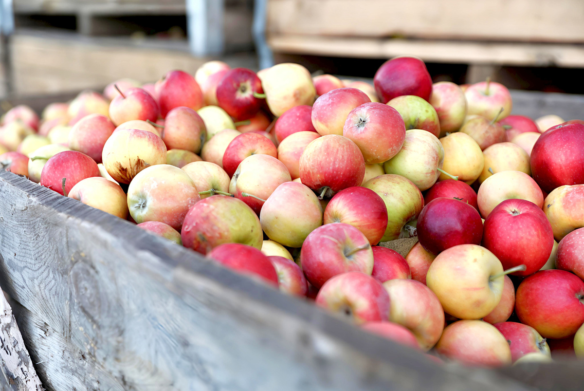 Фото: администрация Краснодарского края